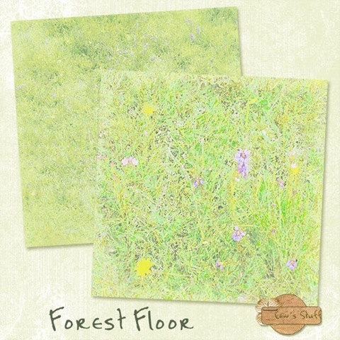 [jsch_forestfloor_folder[3].jpg]