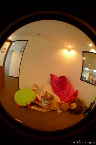 [P1210139[3].jpg]