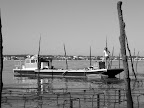 P1010186.JPG