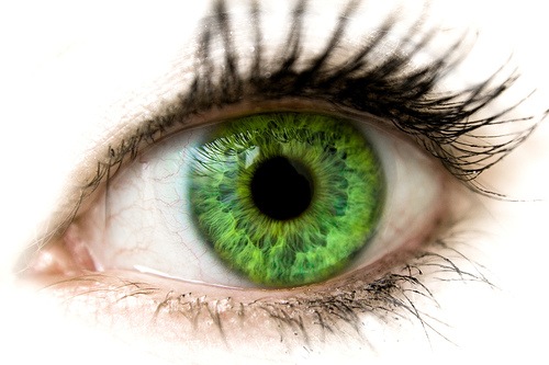[green_eyes-1584[3].jpg]