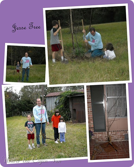 Jesse Tree 2jpg-002 Jesse Tree 2jpg-002