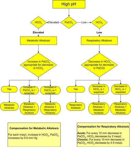 [acisosis alkalosis 1[5].jpg]