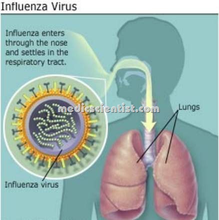 [INFLUENZA js[2].jpg]