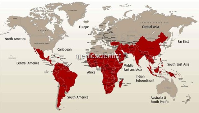 [Malaria 4[2].jpg]