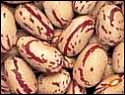 [fagioli - beans_cranberry[7].png]