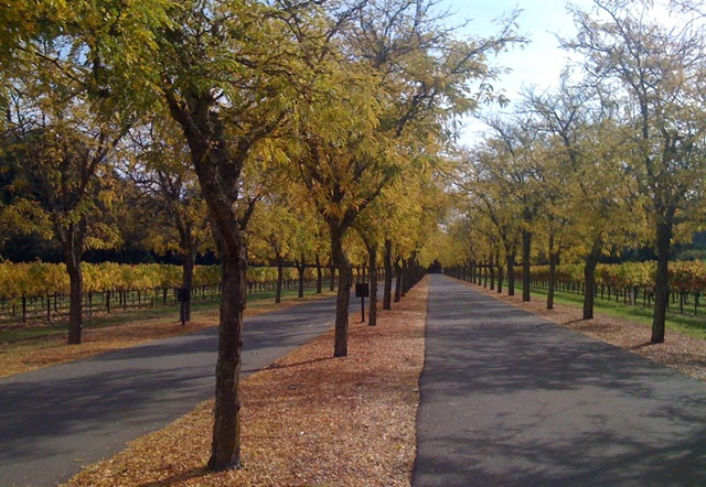 [Sterling Vineyards Entrance[7].jpg]