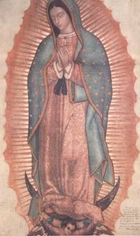 [Our Lady of Guadalupe Tilma Image[9].jpg]