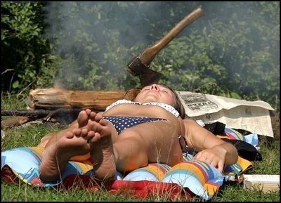 [image016[2].jpg]