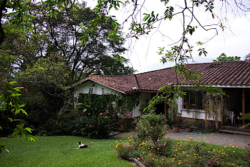 Ana's house