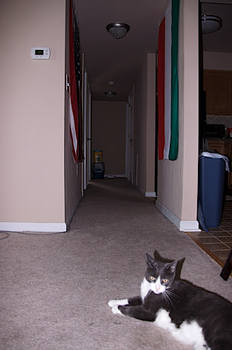 The hallway