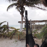 P4291637.JPG
