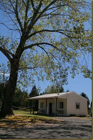 Camp Kitchen