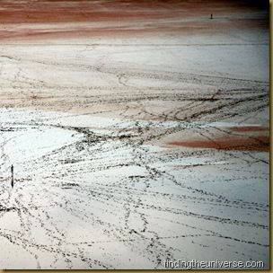 Lake Ballard - Western Australia - 2