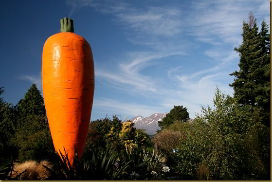 Giant Carrot of Ohakune