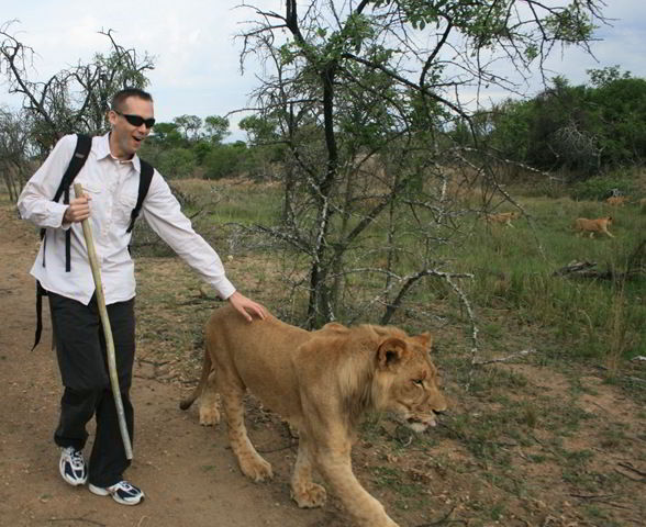 [Lion Walk[3].jpg]