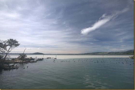 Lake Rotorua