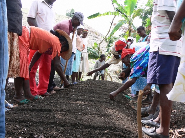 [haiti training[3].jpg]