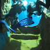 IMG_0120.JPG