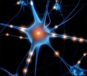 [neuronios Sinapses[4].jpg]