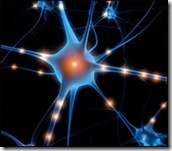 neuronios Sinapses