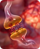 synapse e neurotrasmissores