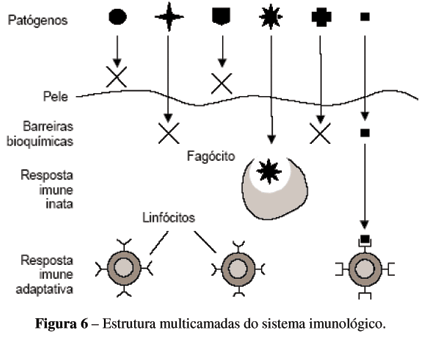 [Inata e adquirida[7].gif]