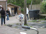 IMG_1015.jpg
