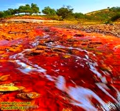 images (1) images (1)
