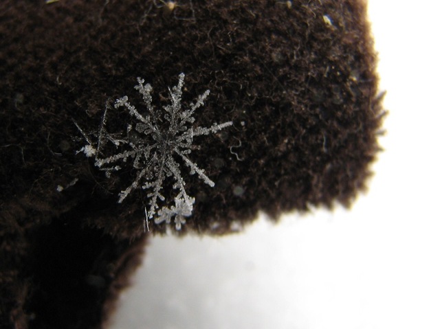 [2009 01 19 052[2].jpg]