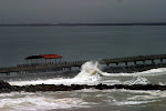 IMG_1048.jpg