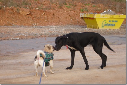 Un beso