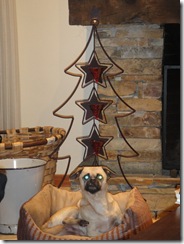 Feliz Navidad Feliz Navidad