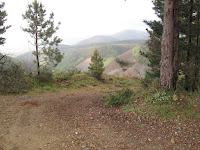 IMG_0019.JPG Photo