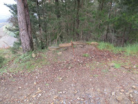 IMG_0018.JPG Photo