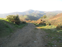 IMG_0055.JPG Photo