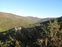 IMG_0056.JPG Photo