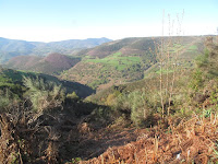 IMG_0060.JPG Photo