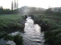 IMG_0131.JPG Photo