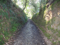 IMG_0133.JPG Photo