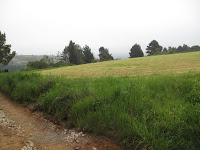 IMG_0240.JPG Photo
