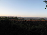 IMG_0286.JPG Photo