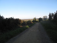 IMG_0287.JPG Photo