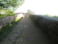 IMG_0291.JPG Photo