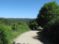IMG_0304.JPG Photo