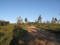 IMG_0345.JPG Photo