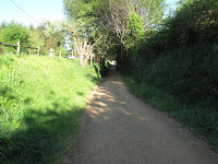 IMG_0318.JPG Photo