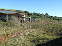 IMG_0911.JPG Photo