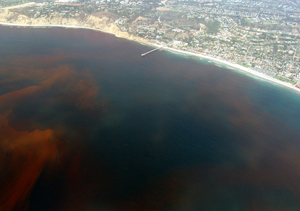 marea-roja.jpg
