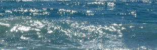 mini-mar.gif