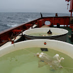 humboldt_2009b-110.jpg